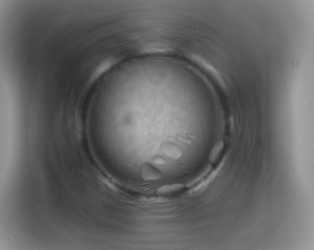 X0000113991306200910091330