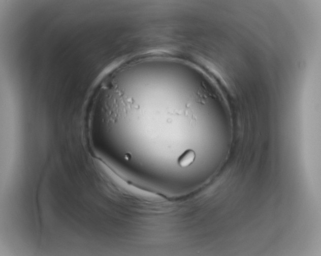 X0000113991308200910091330