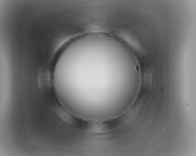 X0000113991310200910091330