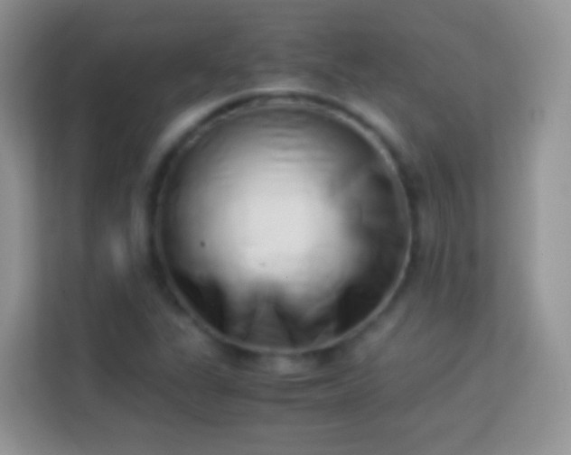 X0000113991311200910091330