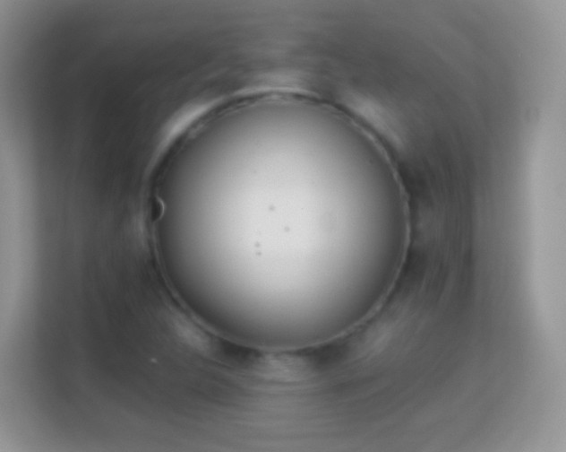 X0000113991312200910091330