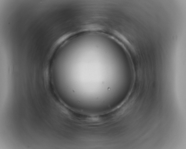 X0000113991315200910091330