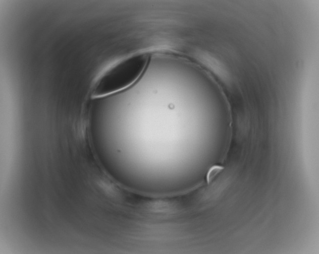 X0000113991316200910091330