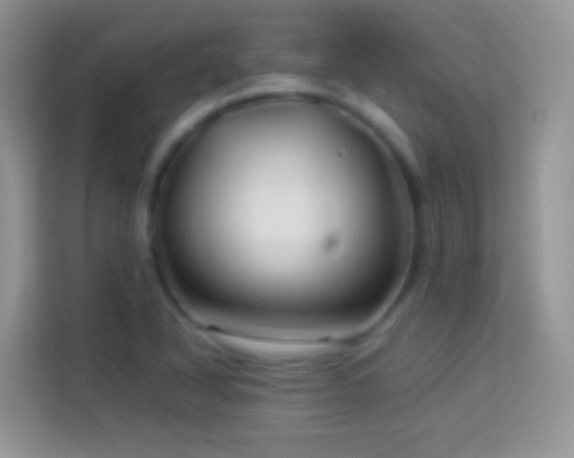 X0000113991318200910091330