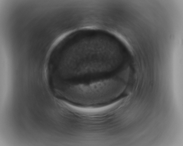 X0000113991319200910091330