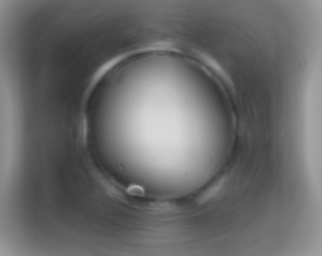 X0000113991320200910091330