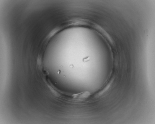 X0000113991321200910091330