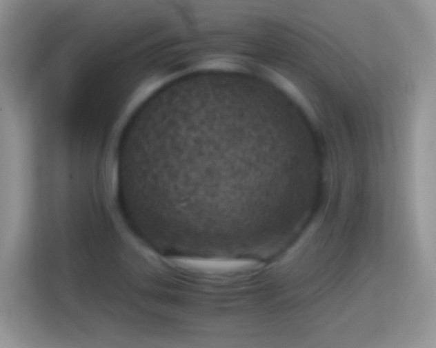 X0000113991323200910091330