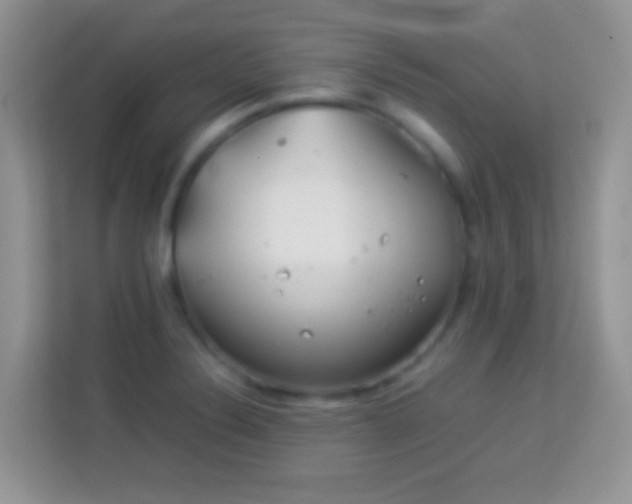 X0000113991324200910091330