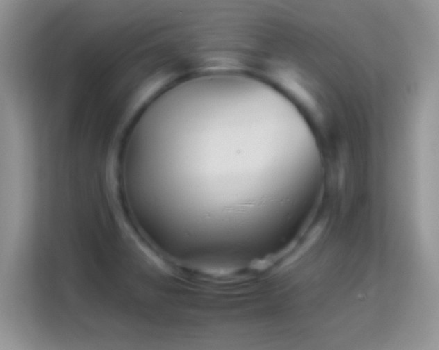 X0000113991325200910091330