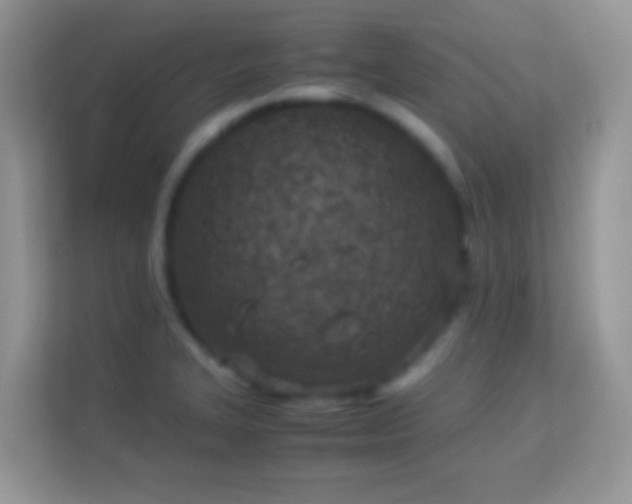 X0000113991327200910091330