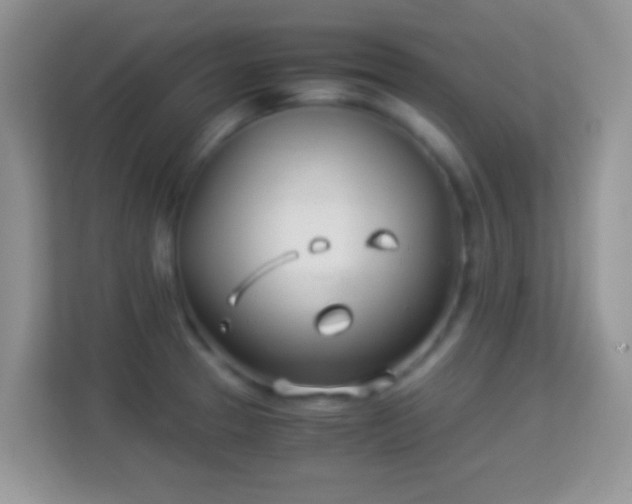 X0000113991329200910091330