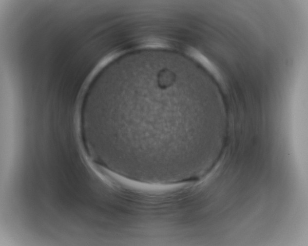 X0000113991331200910091330