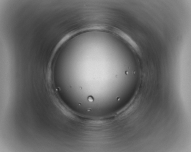 X0000113991332200910091330