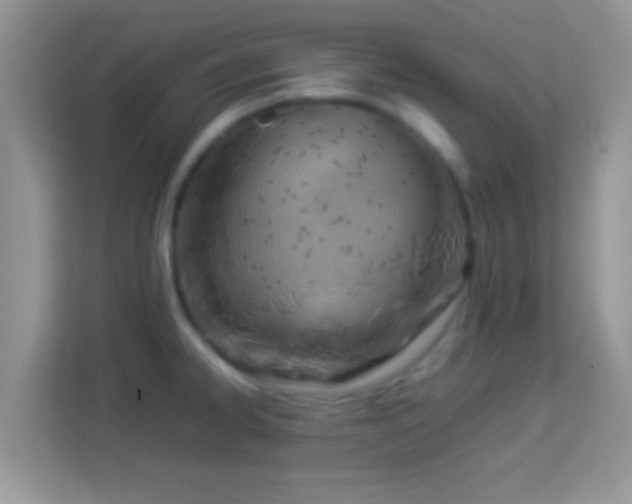 X0000113991334200910091330