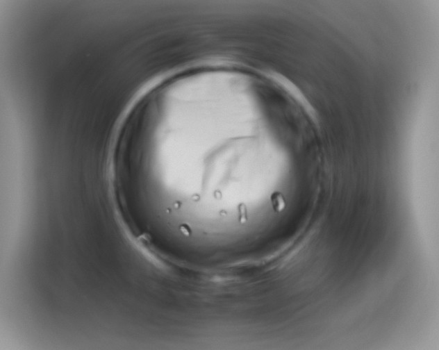 X0000113991335200910091330