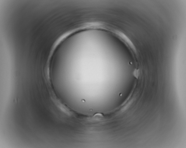 X0000113991336200910091330