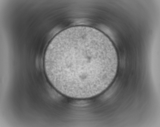 X0000113991338200910091330