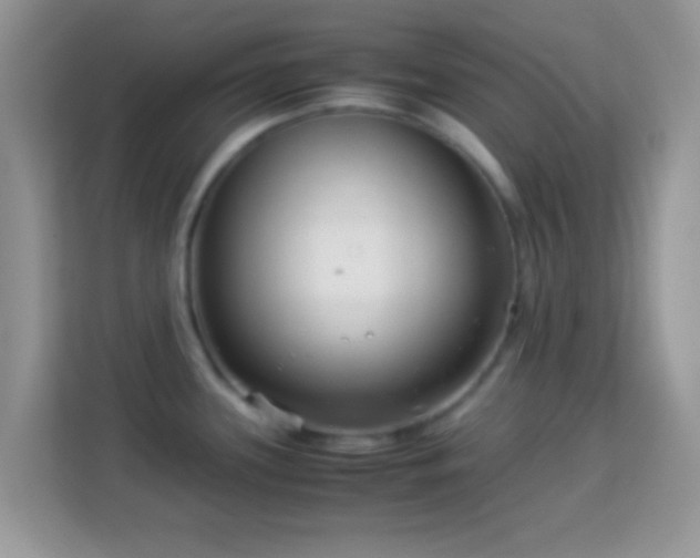 X0000113991339200910091330