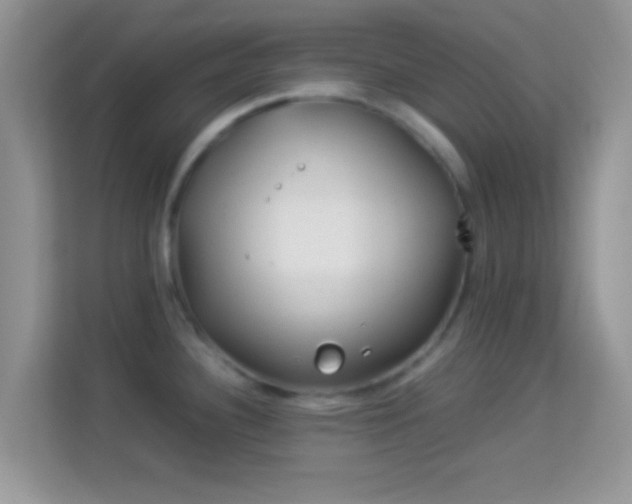 X0000113991340200910091330