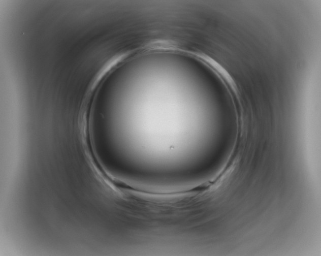 X0000113991341200910091330