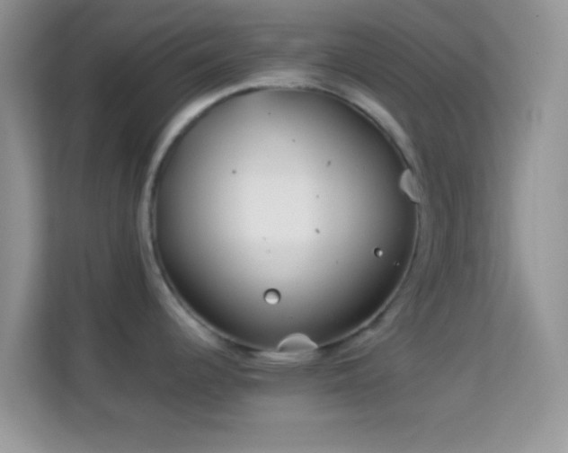 X0000113991344200910091330