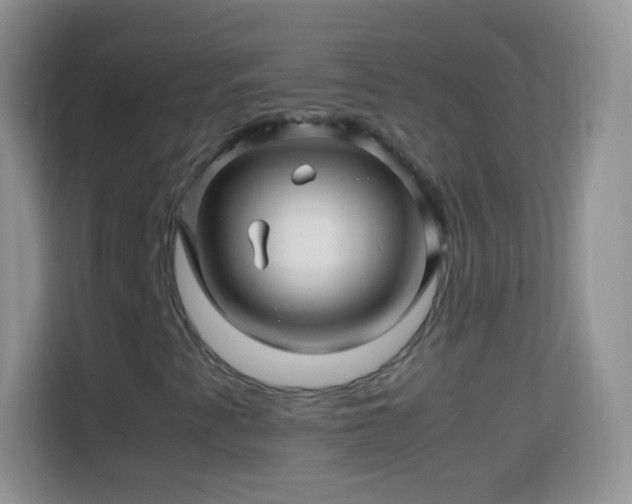 X0000113991345200910091330