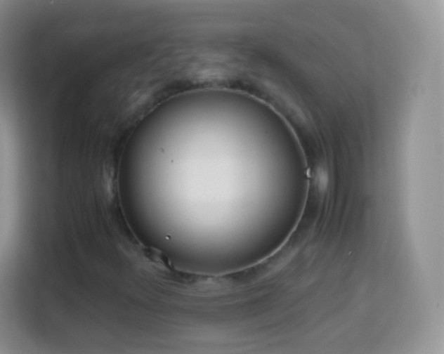 X0000113991348200910091330