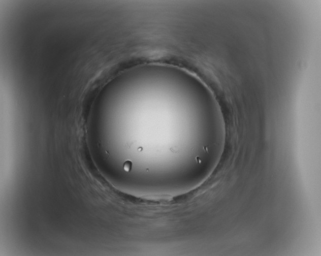 X0000113991349200910091330