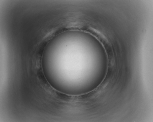 X0000113991350200910091330