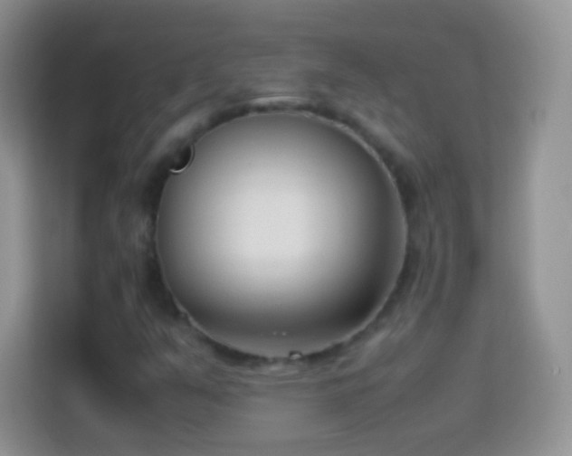 X0000113991351200910091330