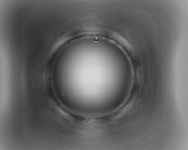 X0000113991352200910091330