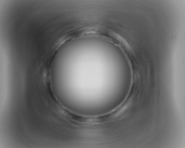 X0000113991353200910091330