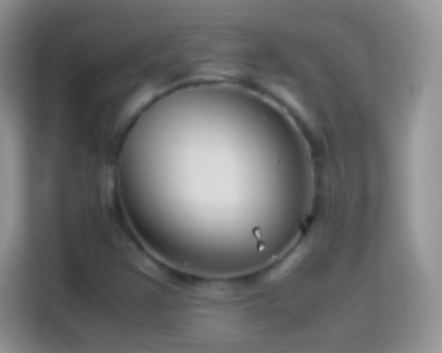 X0000113991355200910091330