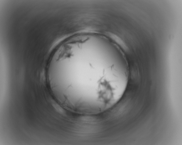 X0000113991356200910091330