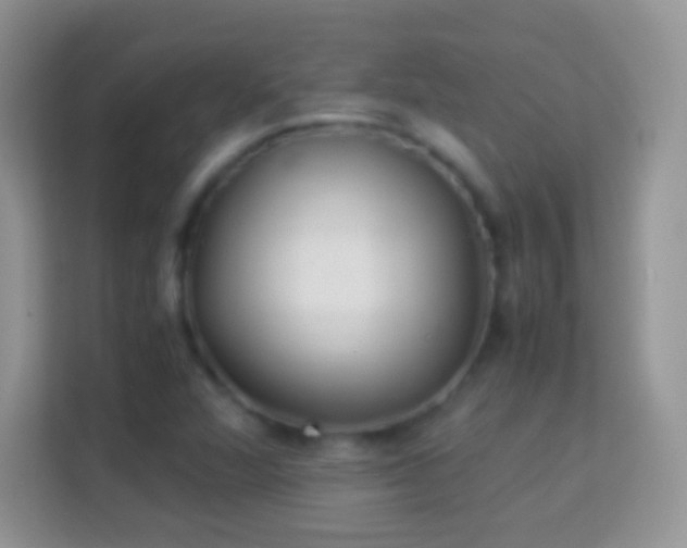 X0000113991360200910091330