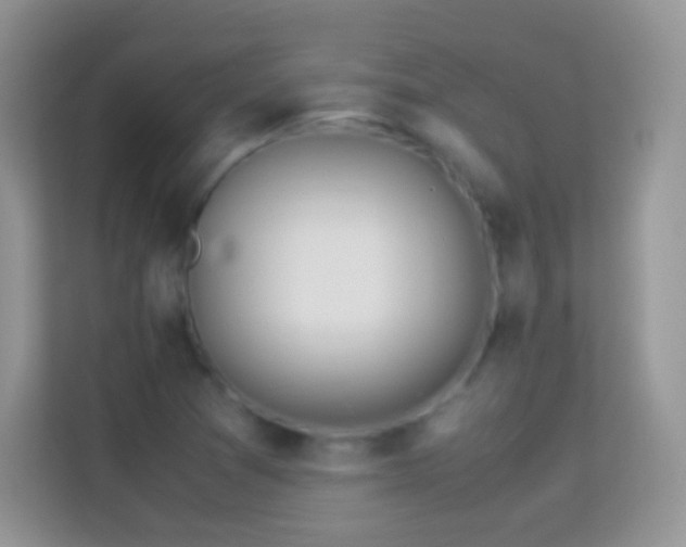 X0000113991361200910091330