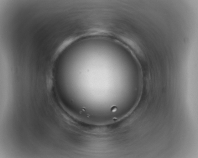 X0000113991363200910091330