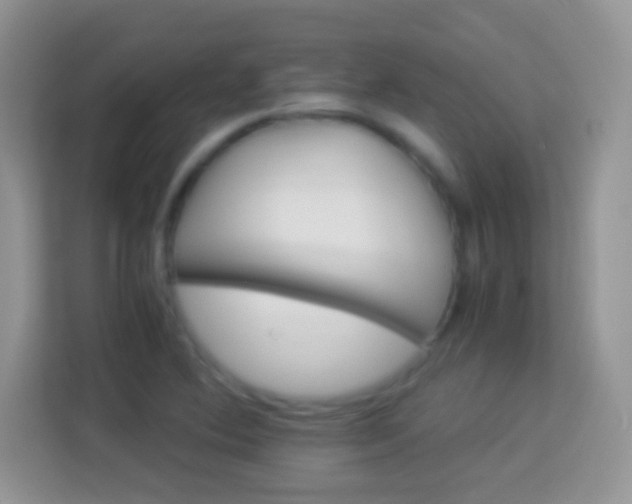 X0000113991364200910091330