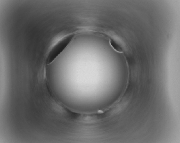 X0000113991365200910091330