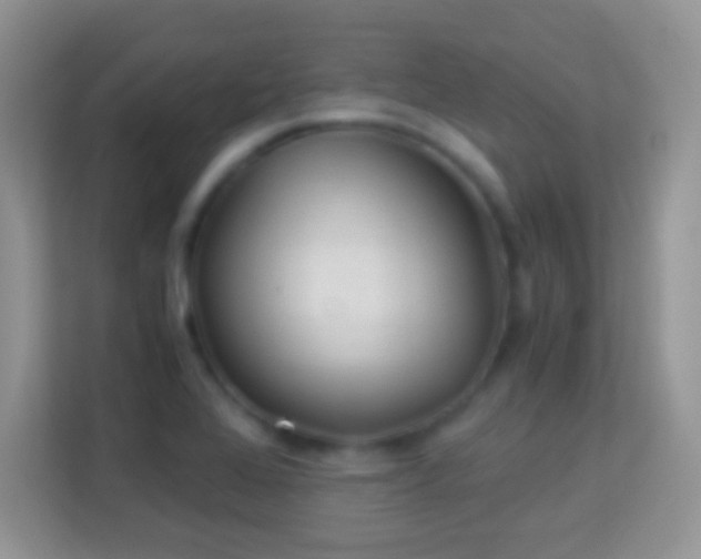 X0000113991368200910091330