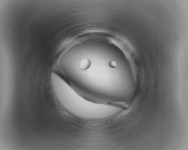 X0000113991369200910091329