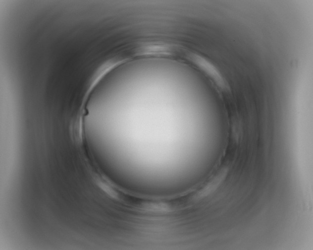 X0000113991370200910091329