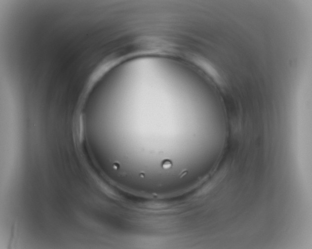 X0000113991371200910091329