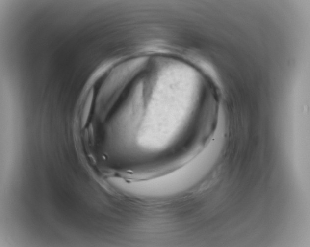 X0000113991373200910091329