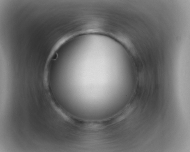 X0000113991374200910091329