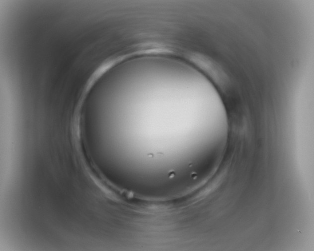 X0000113991375200910091329