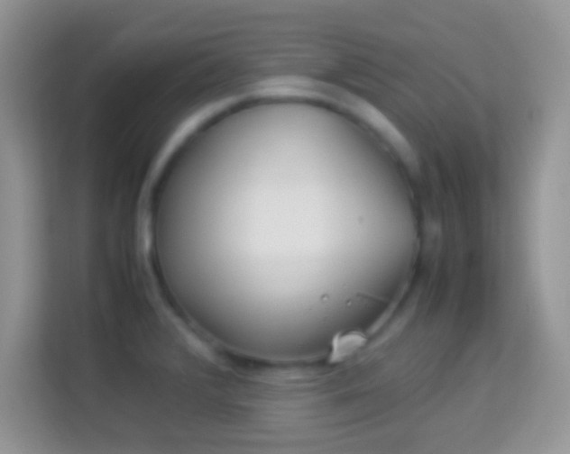 X0000113991376200910091329