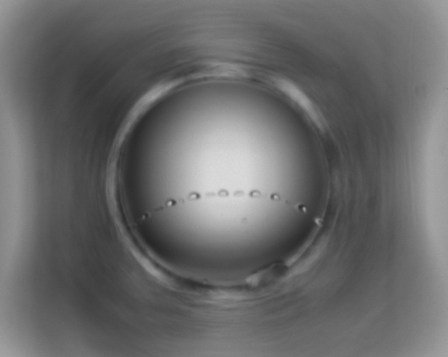 X0000113991379200910091329