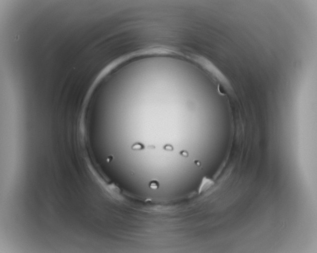 X0000113991380200910091329